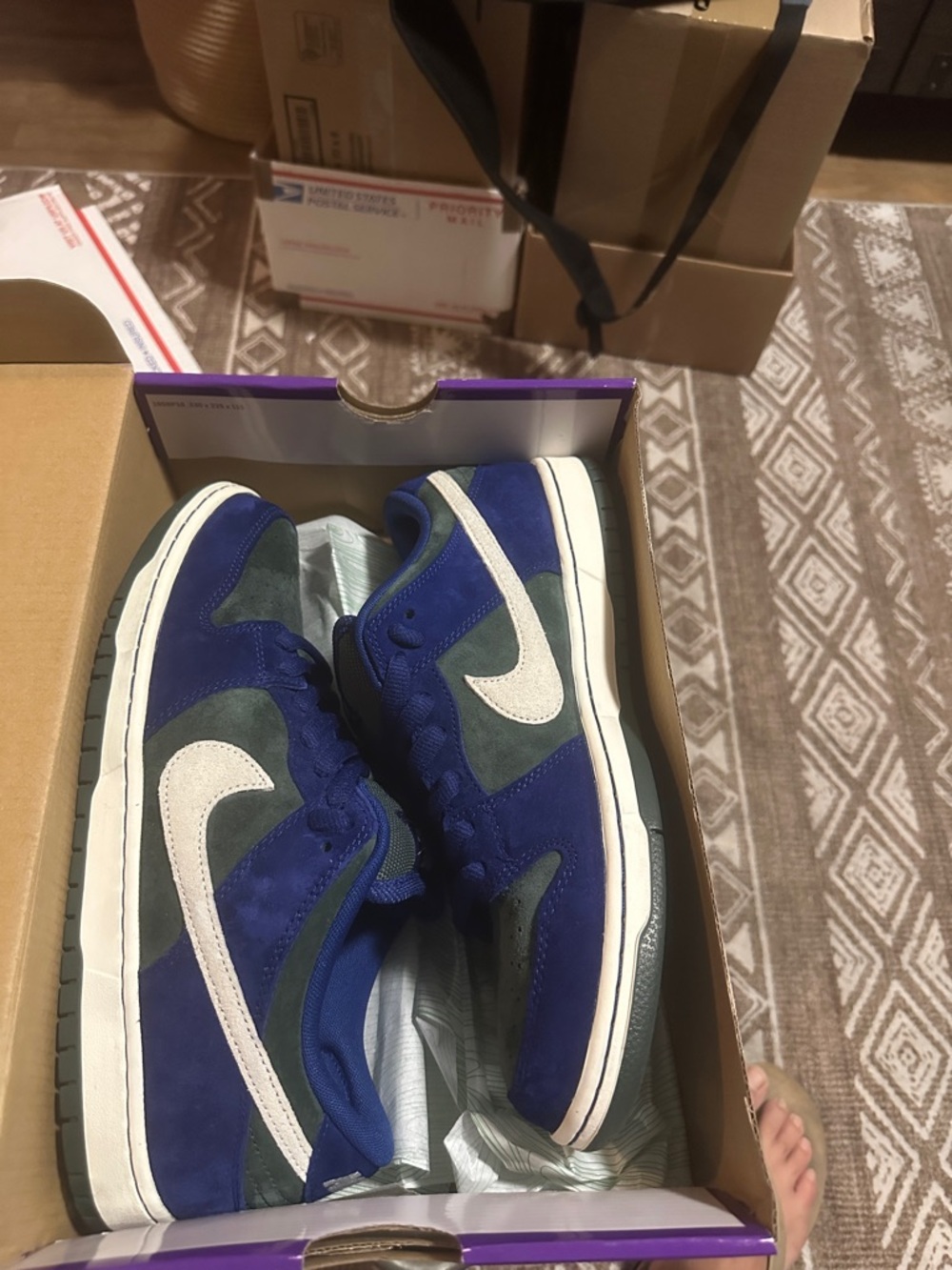 Nike SB DUNK LOW PRO